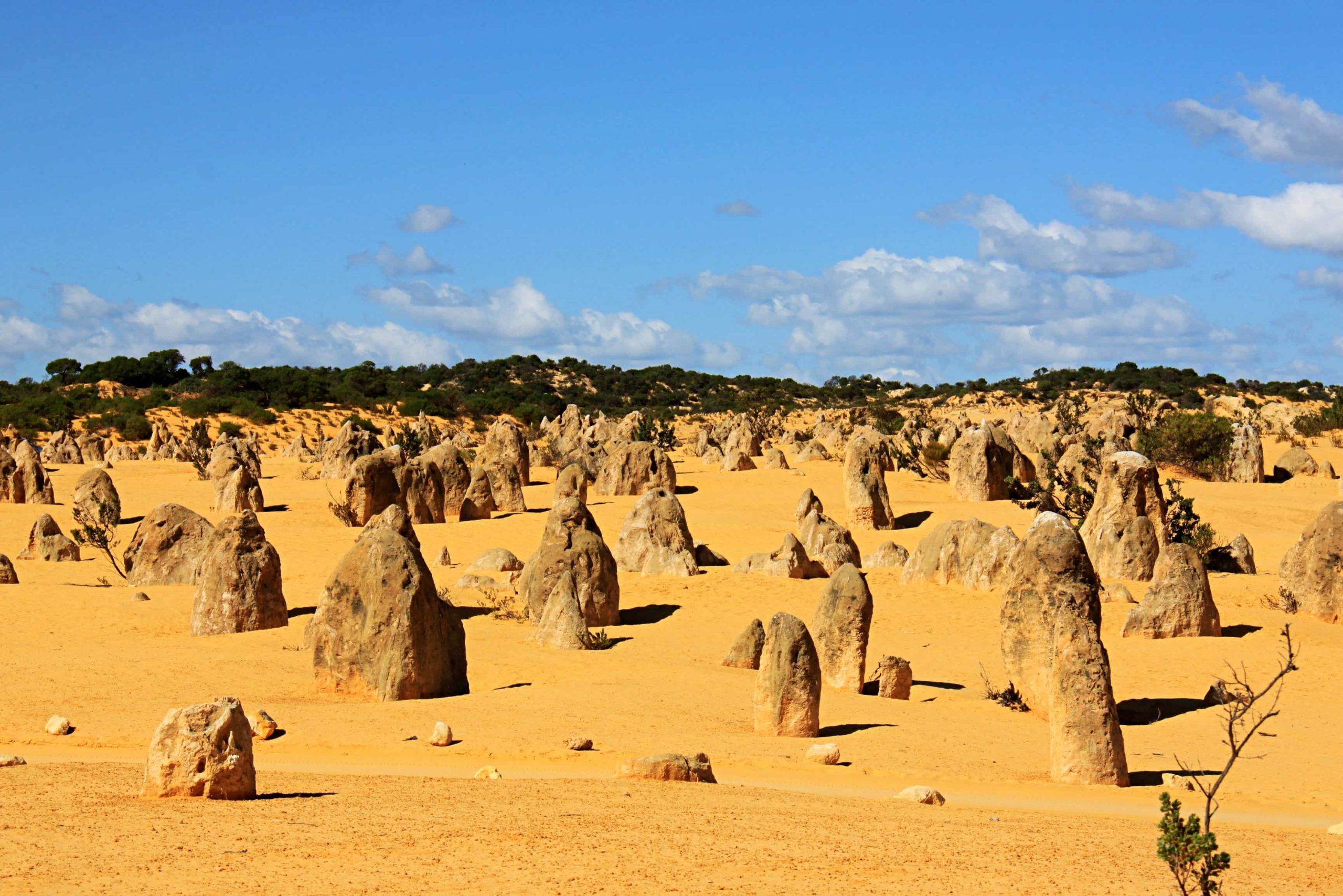 Pinnacles, Nambung Nationalpark, Australien