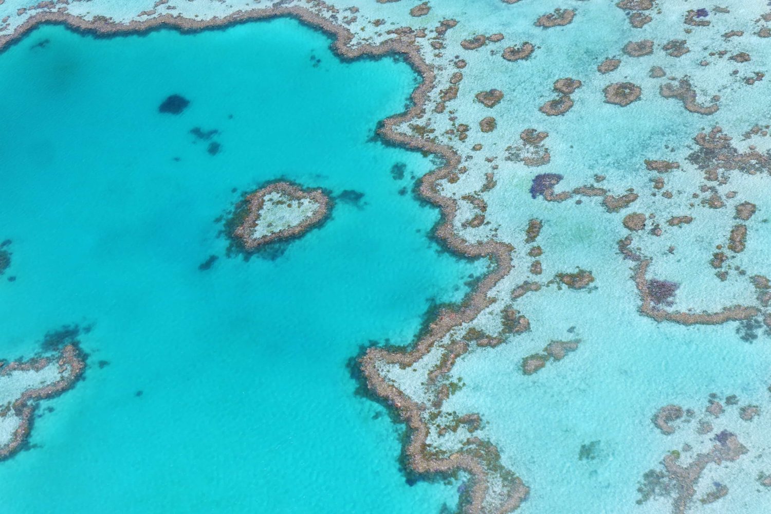 Heart Reef, Great Barrier Reef, Australien