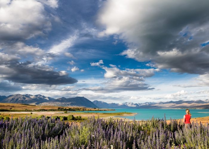 Lake Tekapo © Zwerger-Schoner