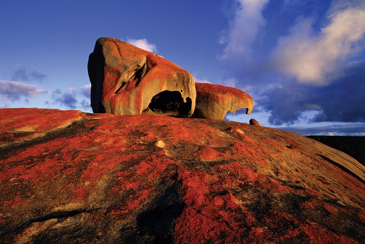 coco tours australien