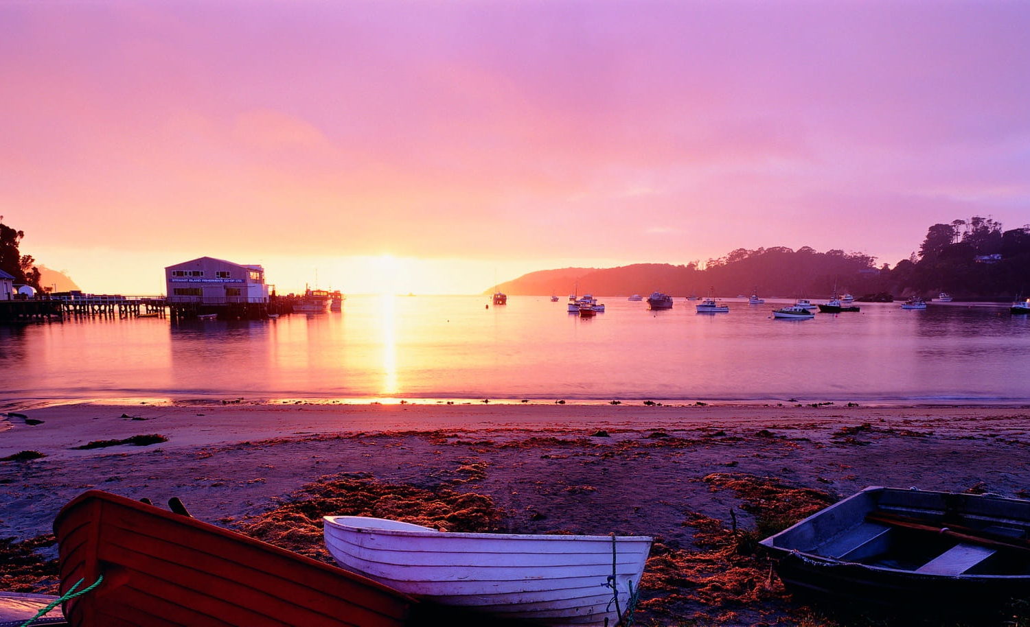 Stewart Island, Oban, Southland © Venture Southland