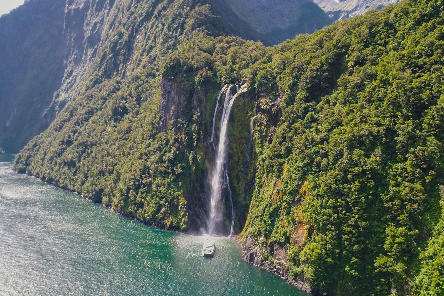 Milford Sound - Intrepid