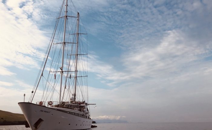 Variety Cruises, Panorama II