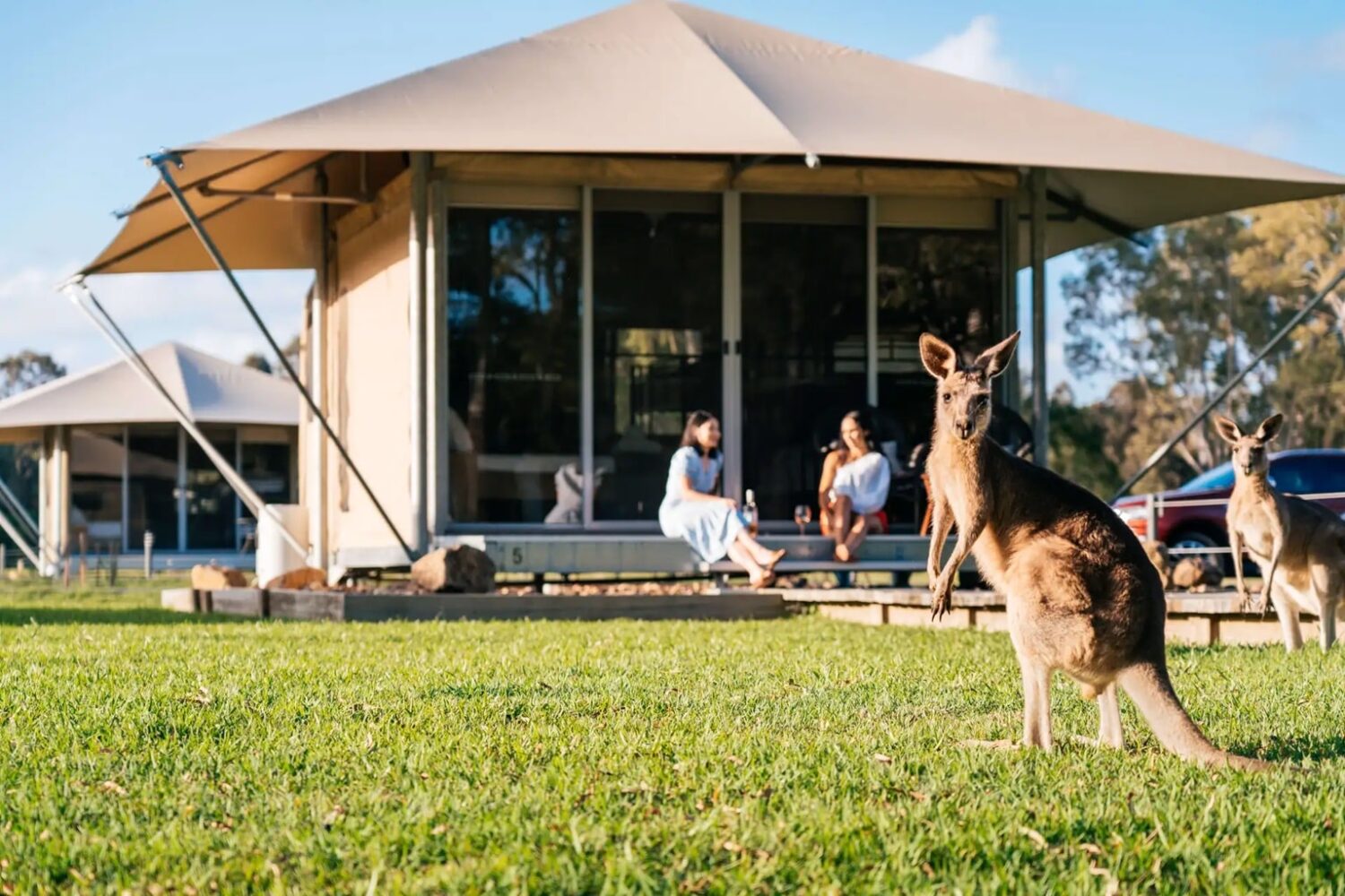 Habitat Noosa
